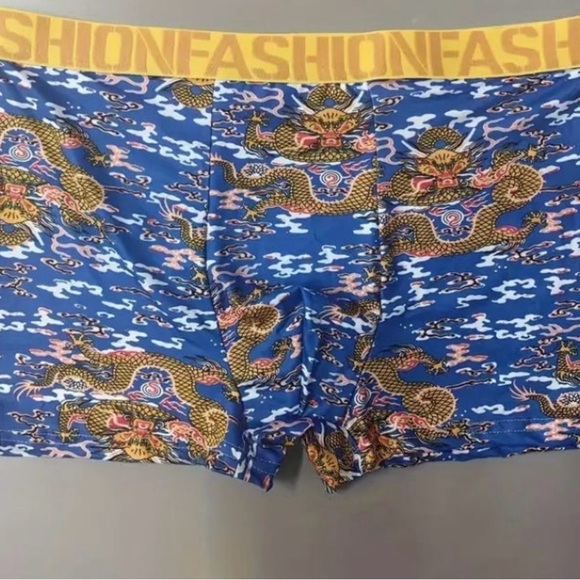 Bundle of 4 Dragon Print Men's Fashion Breathable Boxer Briefs, Size Medium - Picture 6 of 8
